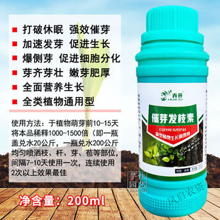 适之LNGALANDGRE植物催芽发枝剂细胞分裂素多肉爆芽肥树干花卉催