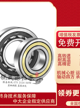 进口德国GAL轴承 NCF ACL313 314 315 316 317 318 319 320 EV