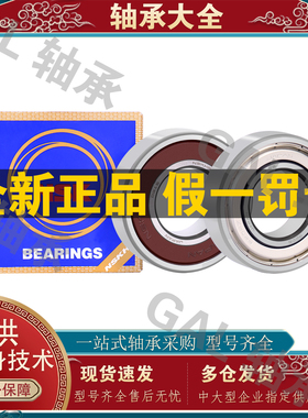 NSK轴承S 6206 ZZ DDU VV 2R S Z hZ NR轴承 P5