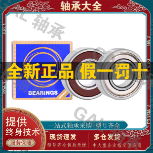 NR配件 DDU 6419 日本单列进口NSK轴承S