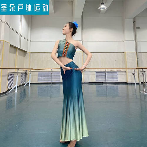 傣族舞蹈演出服艺考服装表演服女傣族孔雀舞蹈裙练功裙鱼尾半身只