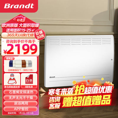 白朗（Brandt）取暖器家用石墨烯电暖器远红外对流电暖气片电暖炉