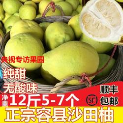 【顺丰包邮】正宗广西容县沙田柚子新鲜孕妇水果纯甜柚子12斤大果
