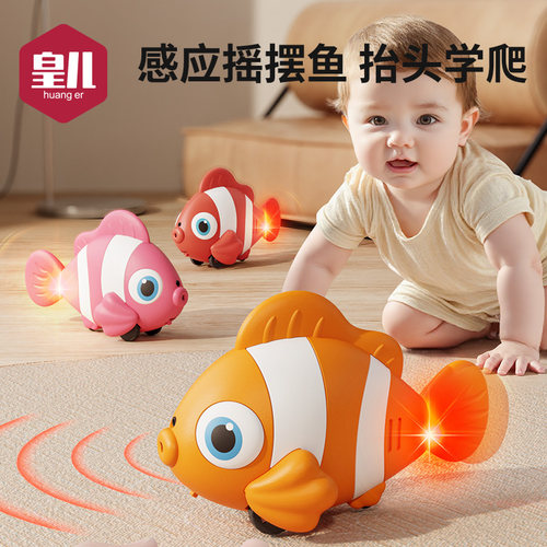 皇儿【电动仿真小丑鱼】抬头练习