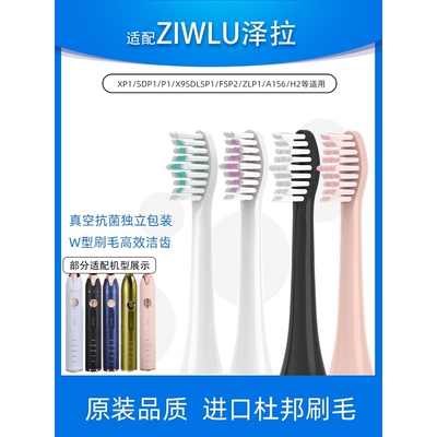 适配日本ziwlu泽拉电动牙刷头P1/X9/SDlSP1/FSP2通用清洁款替换头