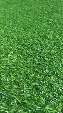泉州草坪地毯塑料草皮仿真草皮人工草皮草皮草坪草皮地毯草皮墙