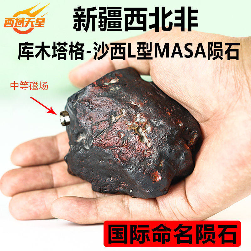 陨石原石新疆库木塔格沙西L型MASA球粒陨S天然宇宙能量石摆件标本