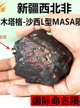 陨石原石新疆库木塔格沙西L型MASA球粒陨S天然宇宙能量石摆件标本