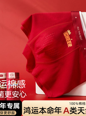 本命年红色内裤青少年男童儿童纯棉a类中大童短裤衩12岁马年2026