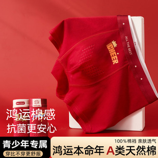 本命年红色内裤 衩12岁马年2026 青少年男童儿童纯棉a类中大童短裤