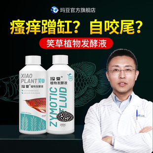 玛豆笑草控菌龙鱼状态恢复需鱼缸水质净化鱼用益生菌非黄粉非鱼药