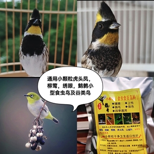 虎头凤饲料柳莺绣眼鹪鹩金翅灰燕金青黄雀麻料玉鸟食谷食虫鸟食
