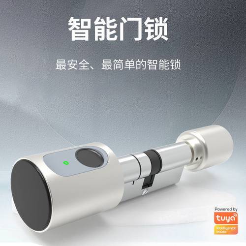 涂鸦蓝牙智能锁芯刷卡指纹室内木门酒店出租房防盗门锁芯app管理