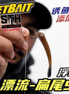 美国Netbait漂流浮水扁尾虫2.75寸路亚黑坑竞技鲈鱼饵Baitfuel