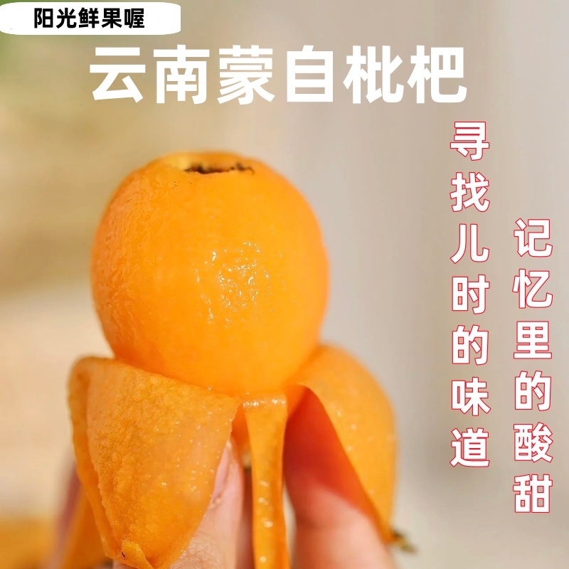 现货云南蒙自枇杷鲜果现摘现发