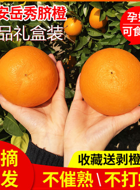 福安岳秀纽荷尔脐橙孕妇吃橙子现摘现发鲜果orange非赣秭南归脐橙