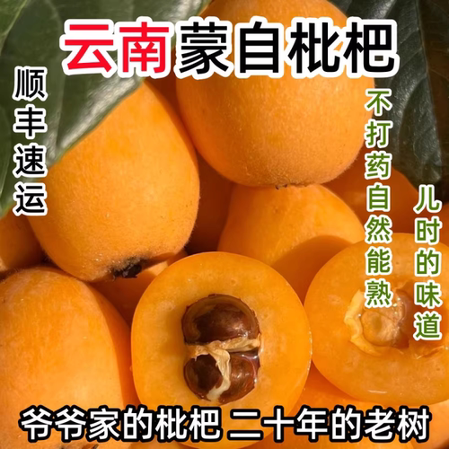 (顺丰速递)正宗云南蒙自枇杷现摘鲜果当季孕妇水果整箱儿时的味道