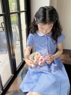 春夏新款日系皇室学院风娃娃领翻领刺绣小蓝方格子短袖连衣裙