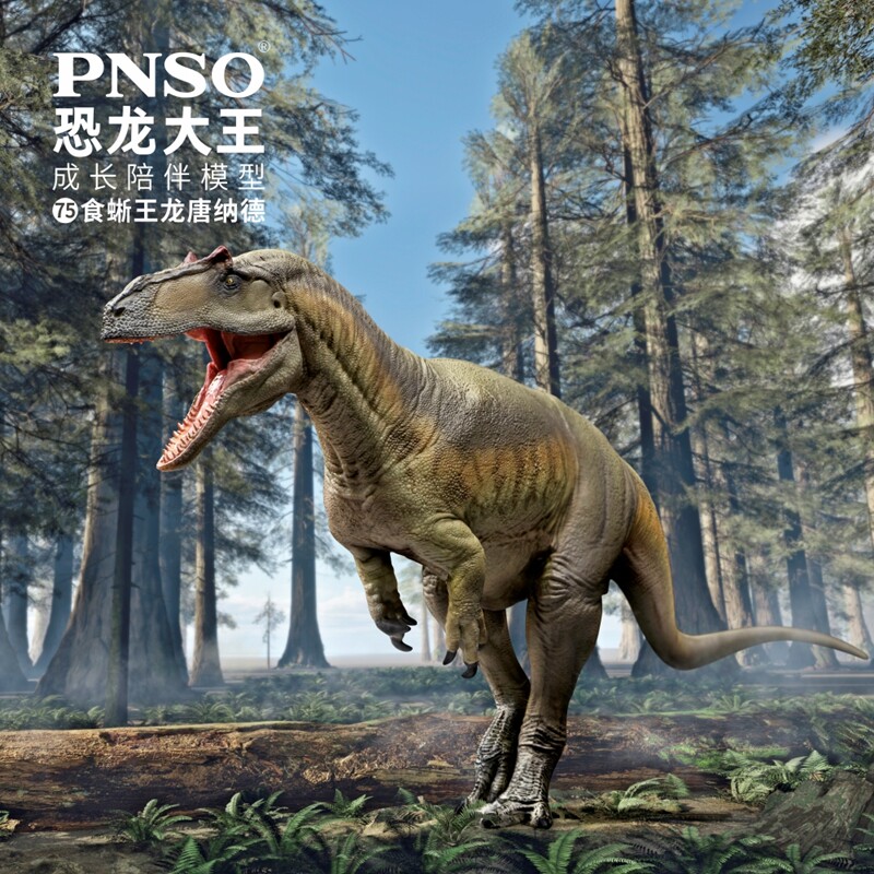 PNSO恐龙模型PVC科学复原图片
