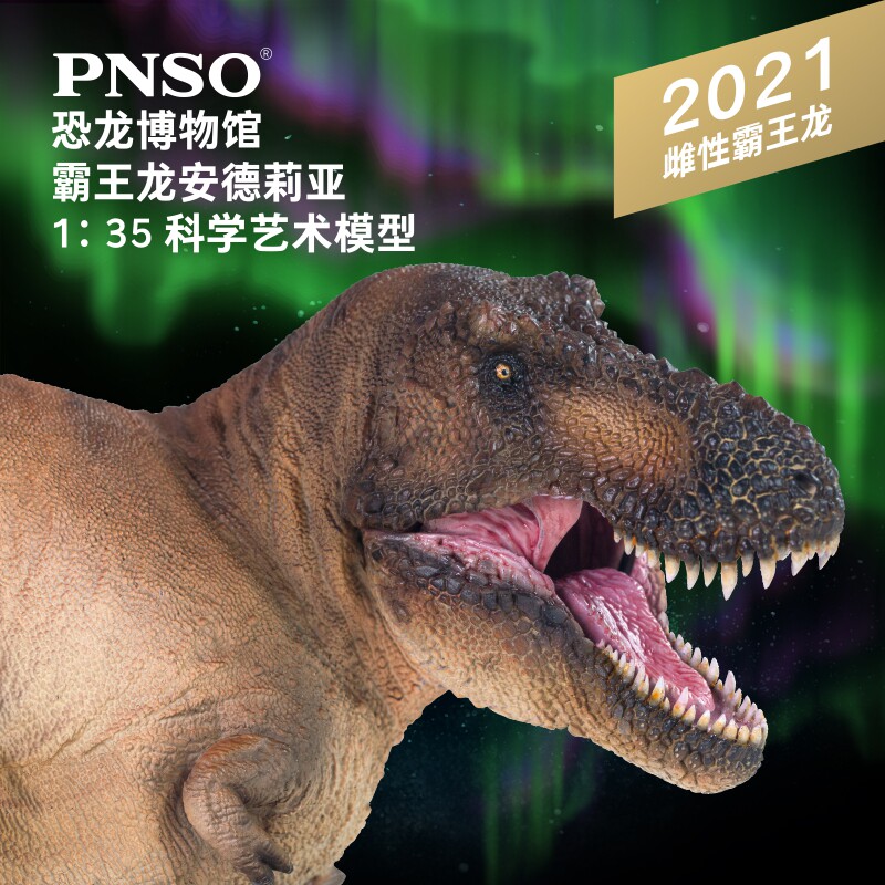 霸王龙安德莉亚PNSO恐龙博物馆图片