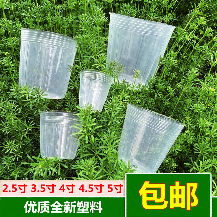 蝴蝶兰专用营养杯兰花植物栽培花盆石斛兰育苗透明塑料盆营养钵,鲜花速递/花卉仿真/绿植园艺,花盆,淘宝优惠券,粉丝福利购,淘宝优惠卷