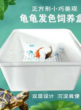 乌龟金鱼双层隔离盒养龟专用正方形盒孵化盒鱼缸内龟苗饲养多功能
