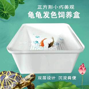 乌龟金鱼双层隔离盒养龟专用正方形盒孵化盒鱼缸内龟苗饲养多功能