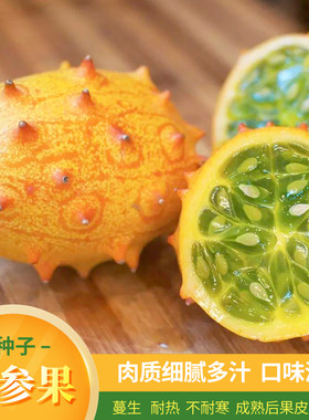 火参果刺角瓜种子超甜大果蜜瓜