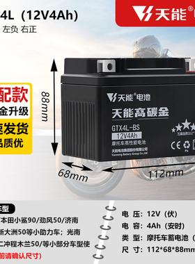 摩托车电瓶12V4Ah自由50小天虹60大路易90木兰AG50越野车小猴子