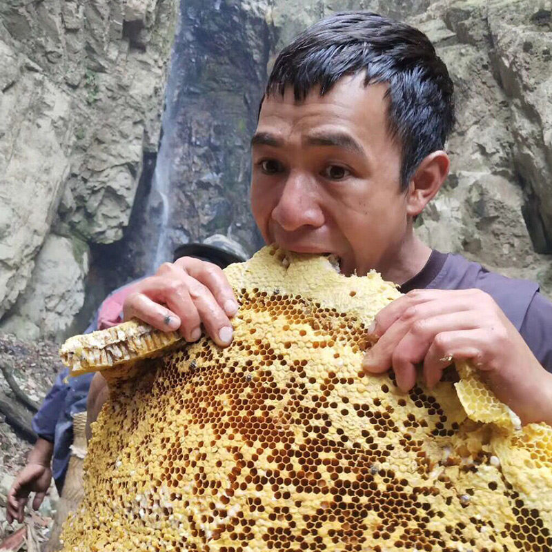云南纯野生黑蜂蜜悬崖采集纯天然百花蜜纯正崖蜜特种蜂蜜一斤500g