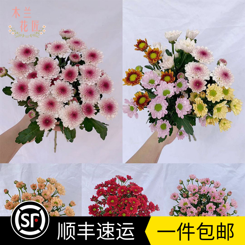 云南基地直发昆明插花小雏菊包邮