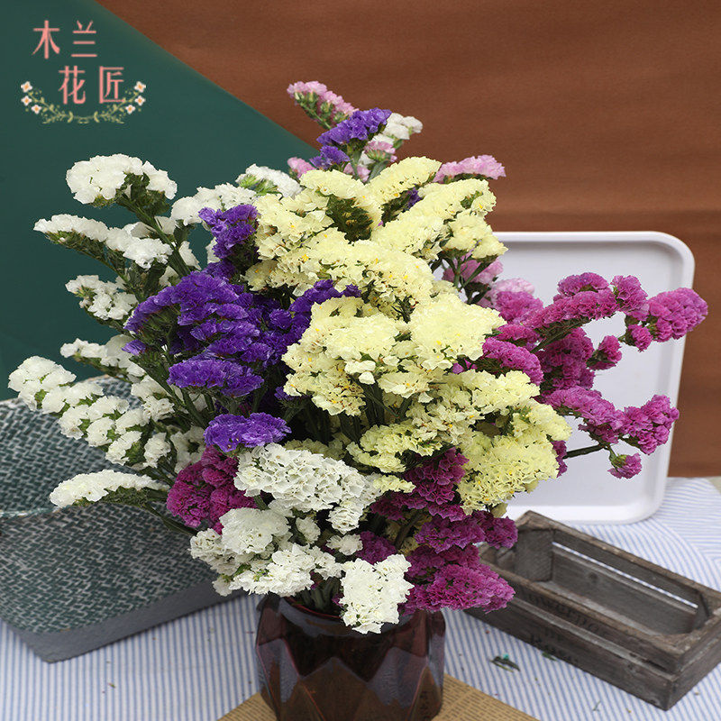 新鲜勿忘我混搭家庭拍摄道具饰品