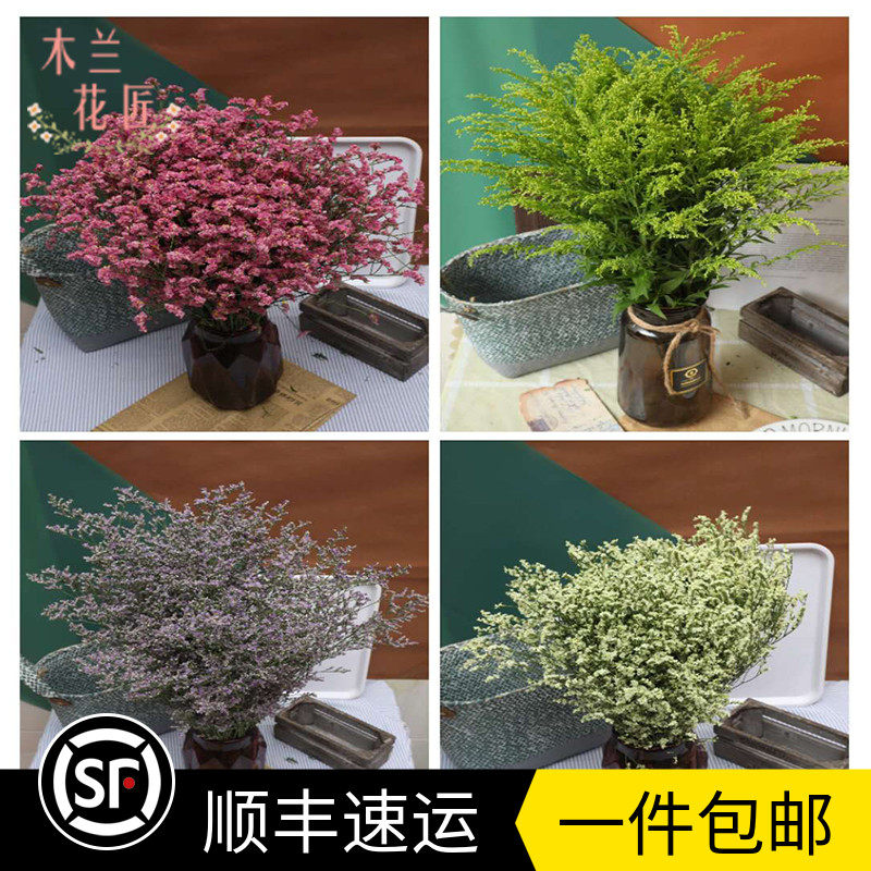 新鲜黄莺草黄水金粉水金情人草鲜花配草昆明基地直批一件包邮