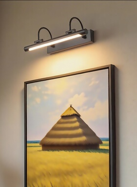 法式挂画壁灯中式复古楼梯过道走廊玄关门牌照画灯美式简约镜前灯