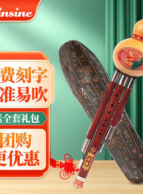 名森（Minsine）葫芦丝初学者成人儿童三音真葫芦丝乐器【双白铜