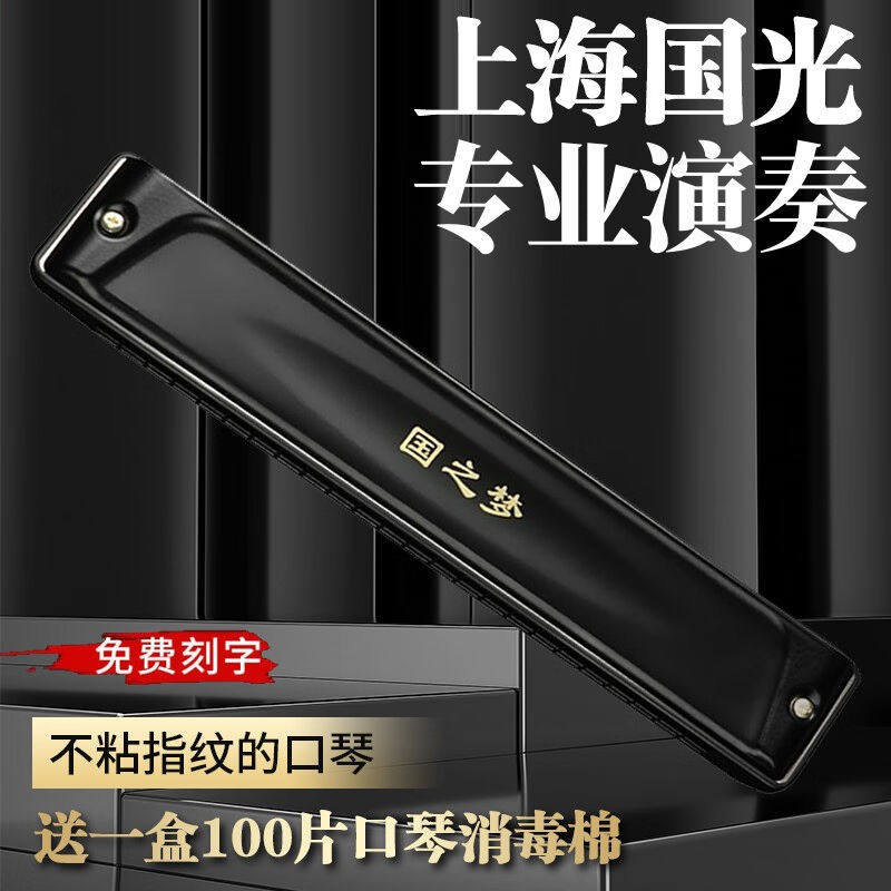德国进口音簧国光28孔重音口琴高级成人专业演奏级复音学生初学者
