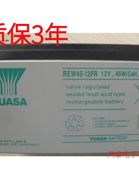 汤浅蓄电池REW45-12FR汤浅蓄电池YUASA 12V45W蓄电池质保3年