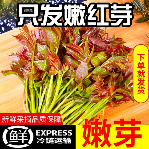 天然生长嫩芽采摘新鲜速发