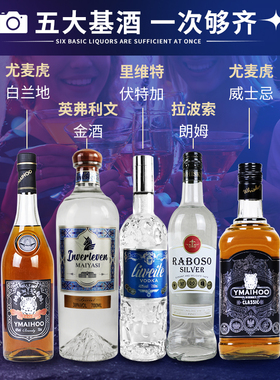 【5支装】酒吧基酒鸡尾酒调酒套装金酒白朗姆白兰地威士忌伏特加