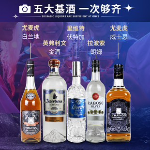 金酒白朗姆白兰地威士忌伏特加 酒吧基酒鸡尾酒调酒套装 5支装
