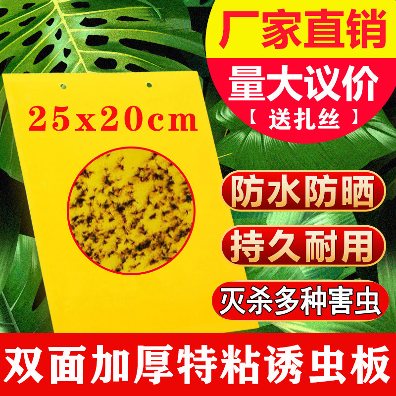 双面包邮蓝色诱杀绿植花卉粘虫板