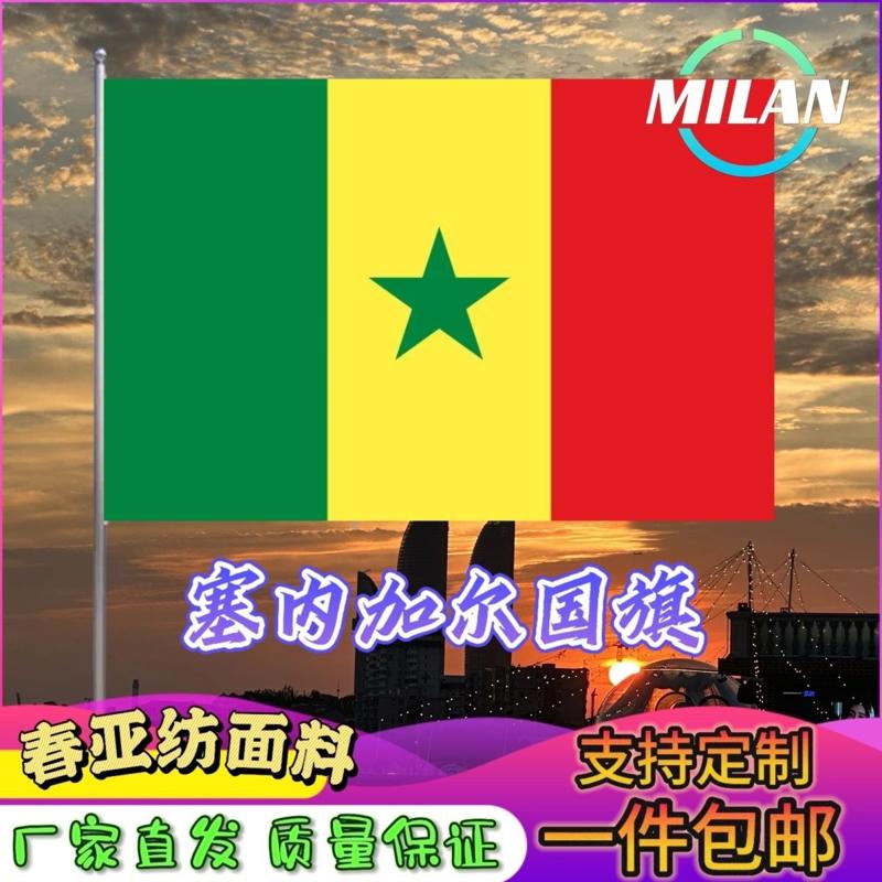 塞内加尔国旗尺寸2345678号手摇旗世界国旗中美英德国俄罗斯旗