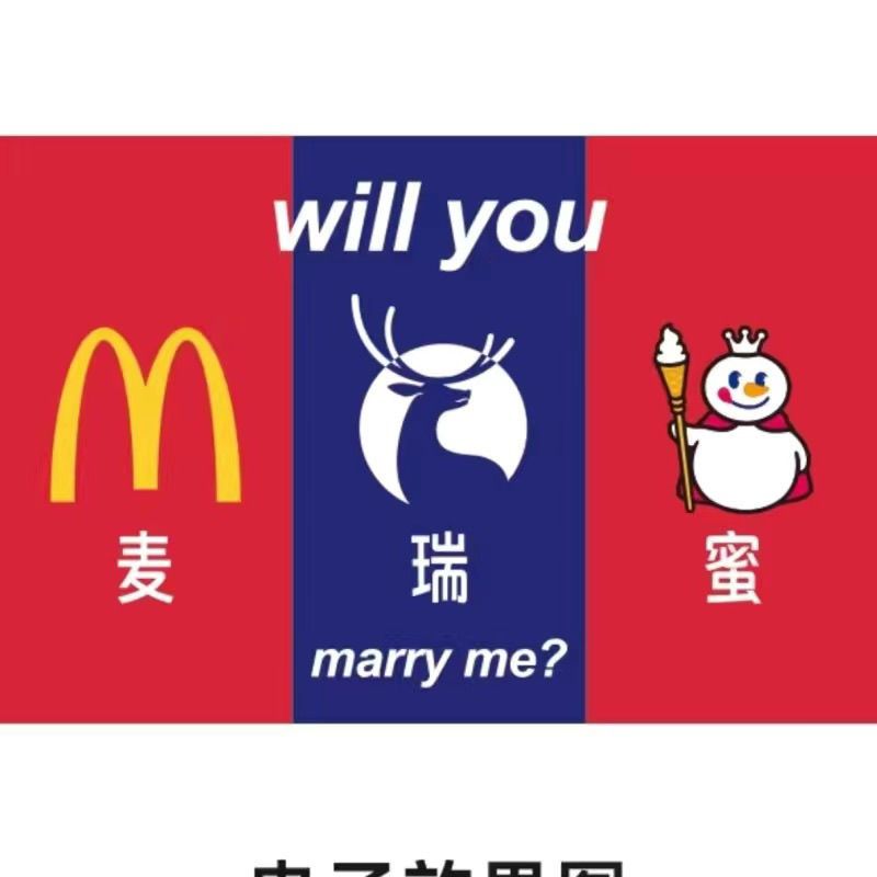 will you麦瑞蜜组合旗帜定制创意摇滚大旗音乐节应援旗户外登山旗