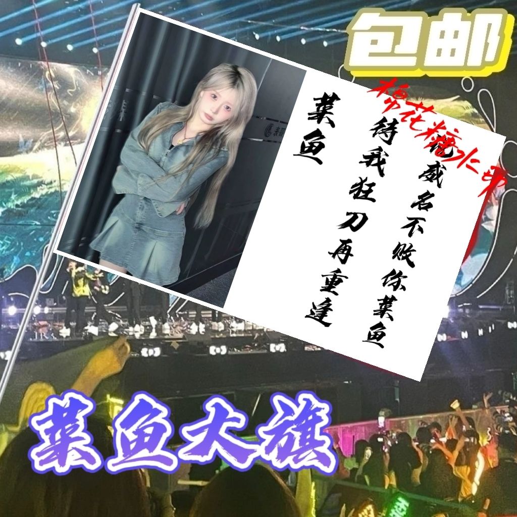 菜鱼应援大旗定制热门网红举大旗支持来图定制旗帜网络经典语录