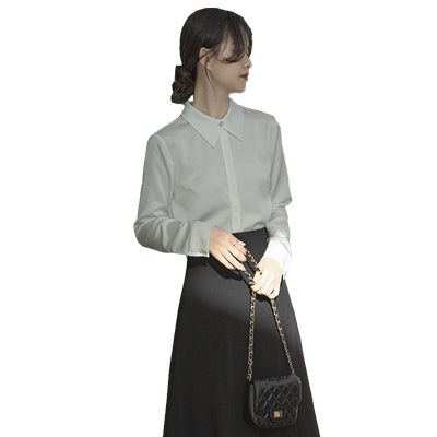 2025春秋新款设计感小众通勤上衣内搭衬衫气质职场装女士雪纺衬衣
