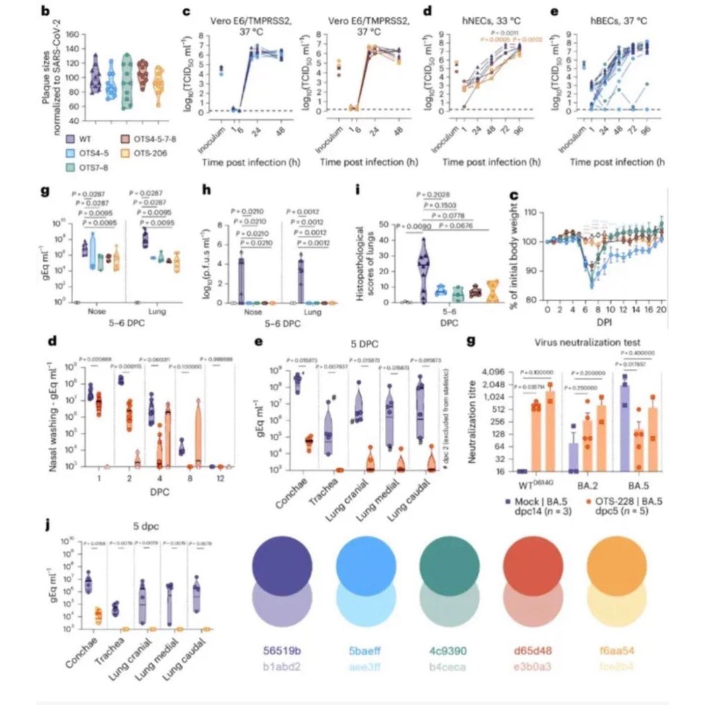 r语言代做,r语言代写,R语言答疑,r代做,r语言,商务/设计服务,建筑及模型设计,淘宝优惠券,粉丝福利购,淘宝优惠卷