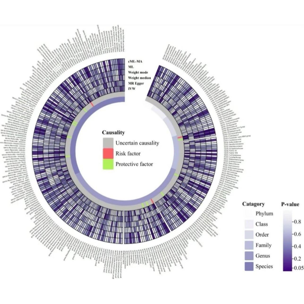 单细胞空间转录组轨迹通路单细胞测序数据分析绘图实操seurat软体