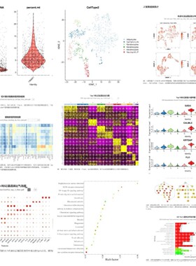 10xRNA单细胞原始数据分析10xST空转数据分析测序fastq数据分析