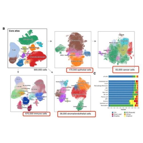 分子动力学教学答疑LAMMPS教程Gromacs培训课程MS软件教学答疑