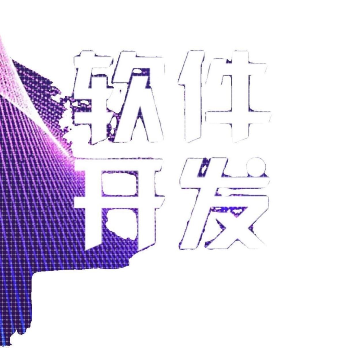 matlab程序代做python代编程php代码编